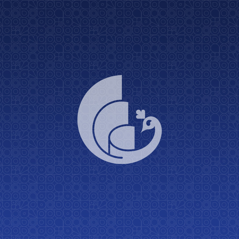 عاطفه فتوحی